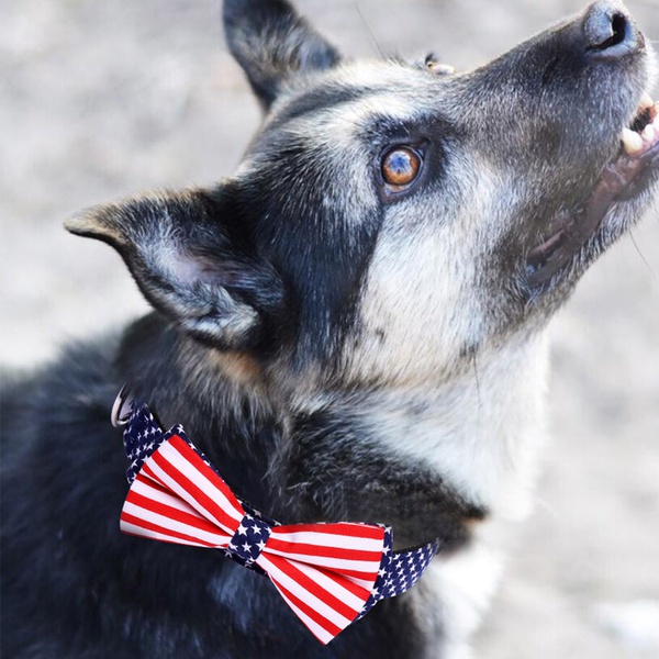 Pentagram Striped Bow Tie Collar for Pets